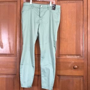 NY&Co pant